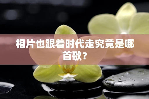 相片也跟着时代走究竟是哪首歌？