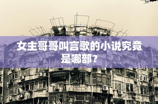 女主哥哥叫言歌的小说究竟是哪部？