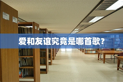 爱和友谊究竟是哪首歌？