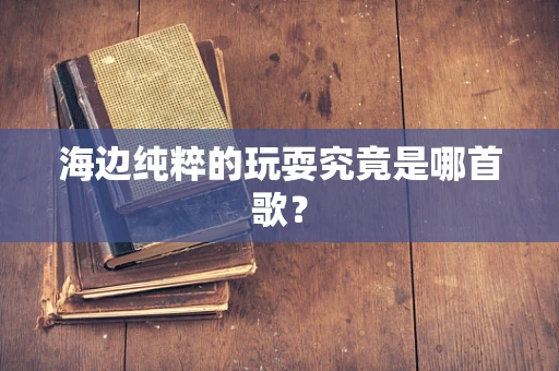 海边纯粹的玩耍究竟是哪首歌？
