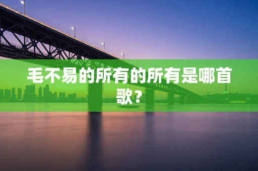 毛不易的所有的所有是哪首歌？