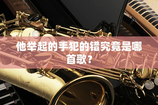 他举起的手犯的错究竟是哪首歌？