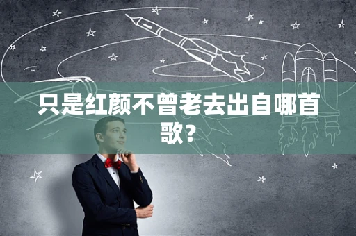 只是红颜不曾老去出自哪首歌？