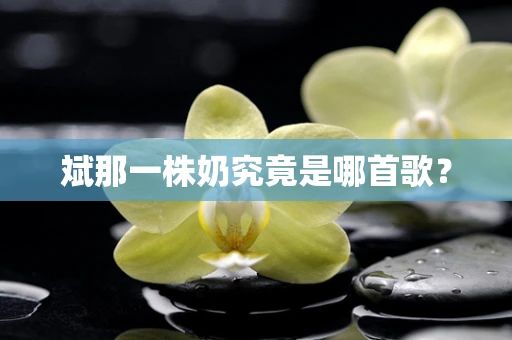 斌那一株奶究竟是哪首歌？