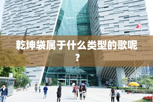 乾坤袋属于什么类型的歌呢？