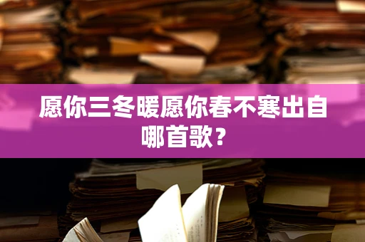 愿你三冬暖愿你春不寒出自哪首歌？