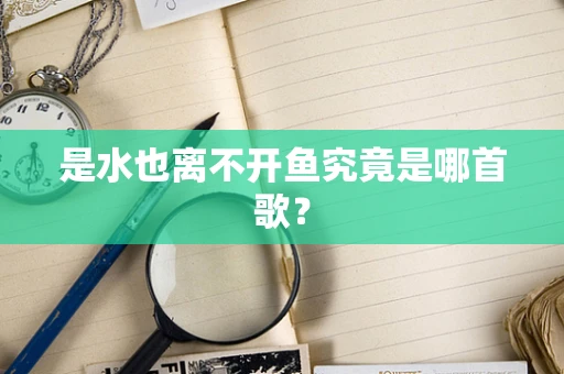 是水也离不开鱼究竟是哪首歌？