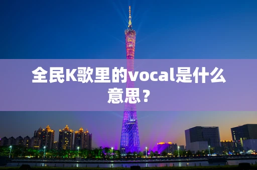 全民K歌里的vocal是什么意思？