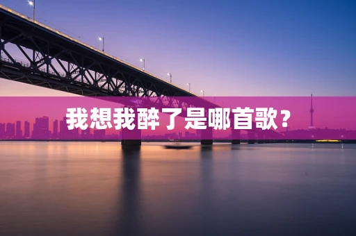 我想我醉了是哪首歌？