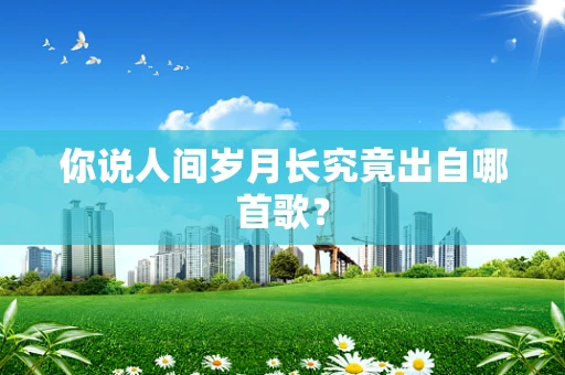 你说人间岁月长究竟出自哪首歌？