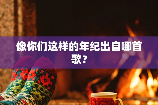 像你们这样的年纪出自哪首歌？