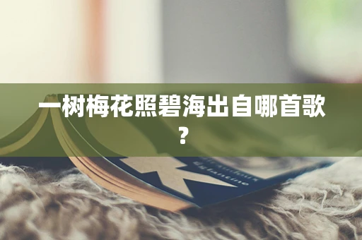 一树梅花照碧海出自哪首歌？