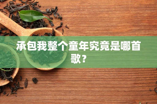承包我整个童年究竟是哪首歌？