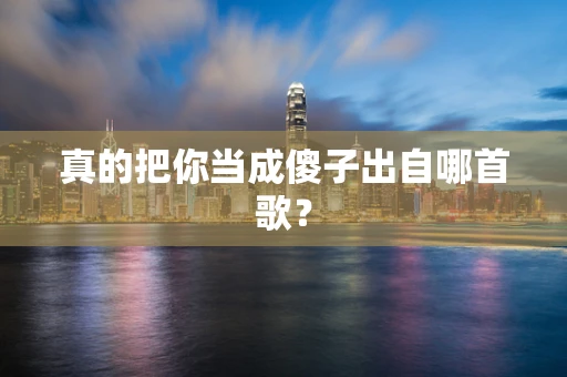 真的把你当成傻子出自哪首歌？