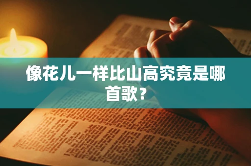 像花儿一样比山高究竟是哪首歌？