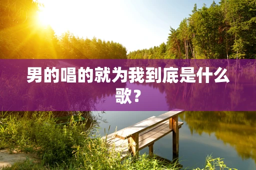 男的唱的就为我到底是什么歌？