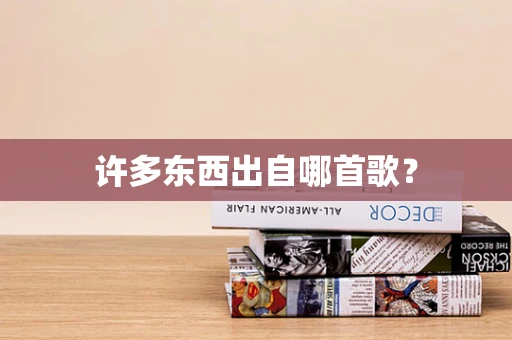 许多东西出自哪首歌？