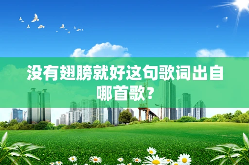 没有翅膀就好这句歌词出自哪首歌？