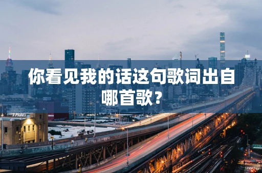 你看见我的话这句歌词出自哪首歌？