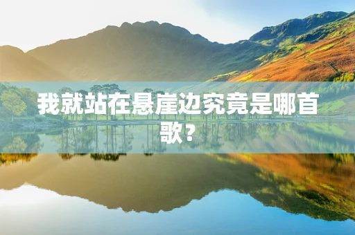我就站在悬崖边究竟是哪首歌？