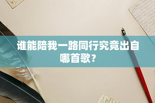谁能陪我一路同行究竟出自哪首歌？