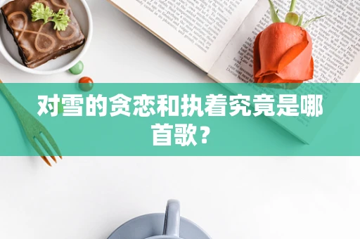 对雪的贪恋和执着究竟是哪首歌？