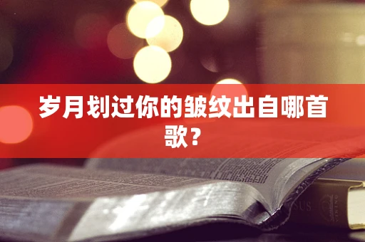岁月划过你的皱纹出自哪首歌？