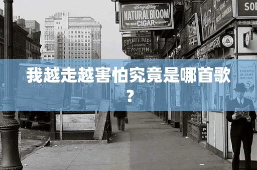 我越走越害怕究竟是哪首歌？