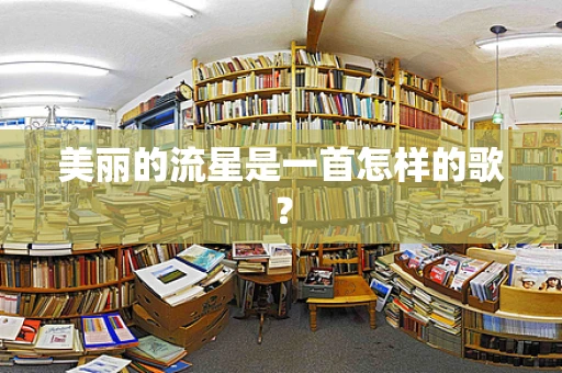美丽的流星是一首怎样的歌？