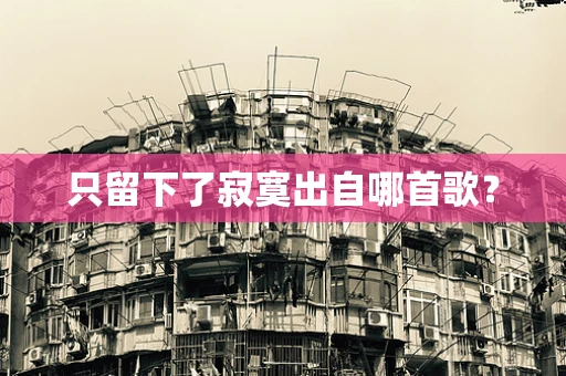 只留下了寂寞出自哪首歌？