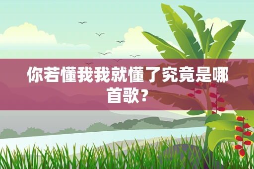 你若懂我我就懂了究竟是哪首歌？