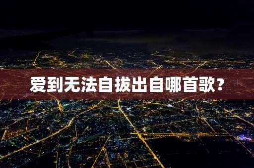 爱到无法自拔出自哪首歌？