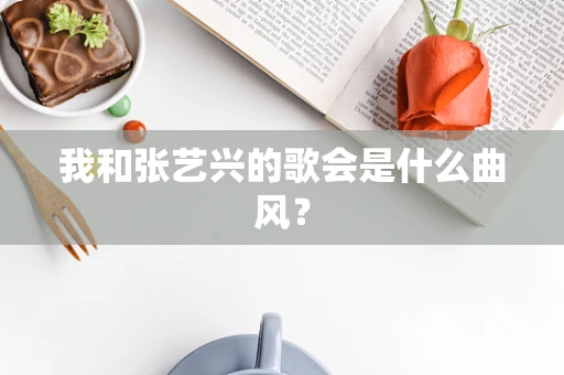 我和张艺兴的歌会是什么曲风？