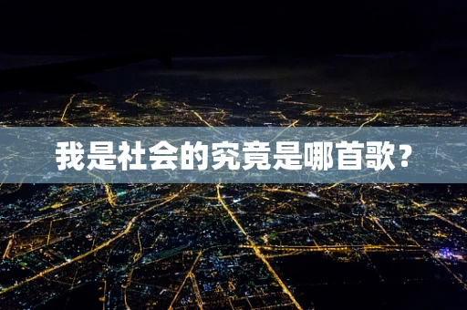 我是社会的究竟是哪首歌？