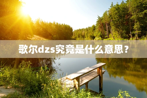 歌尔dzs究竟是什么意思？