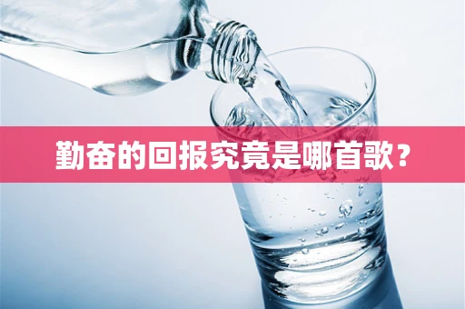 勤奋的回报究竟是哪首歌？