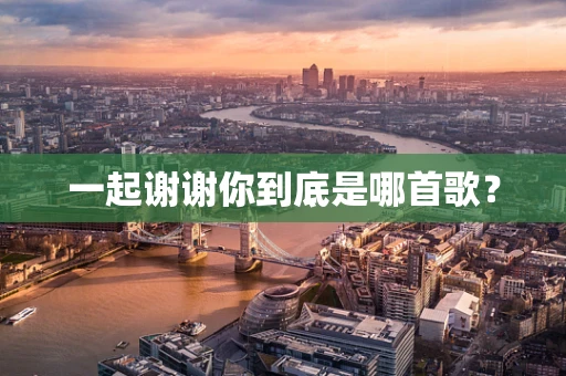 一起谢谢你到底是哪首歌？