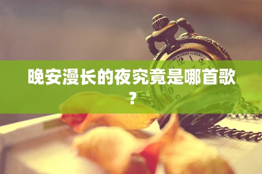 晚安漫长的夜究竟是哪首歌？