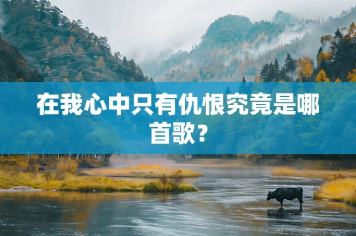 在我心中只有仇恨究竟是哪首歌？