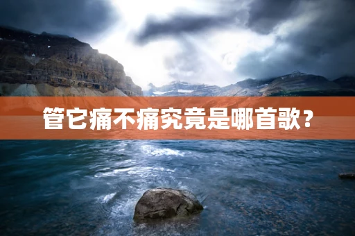 管它痛不痛究竟是哪首歌？