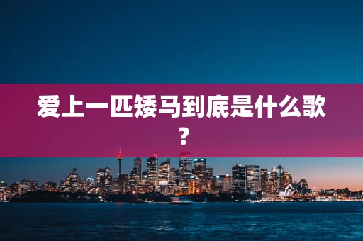 爱上一匹矮马到底是什么歌？