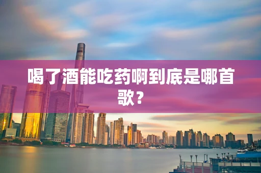 喝了酒能吃药啊到底是哪首歌？