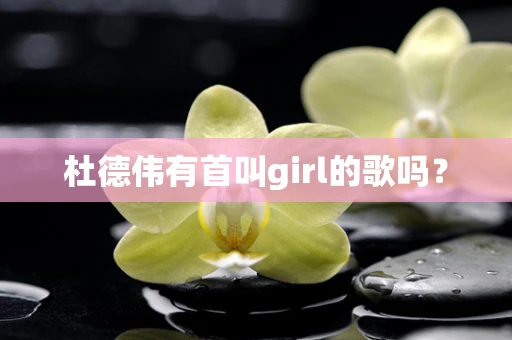 杜德伟有首叫girl的歌吗？