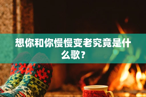 想你和你慢慢变老究竟是什么歌？