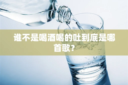 谁不是喝酒喝的吐到底是哪首歌？