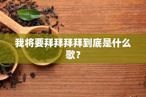 我将要拜拜拜拜到底是什么歌？