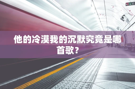 他的冷漠我的沉默究竟是哪首歌？