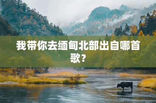 我带你去缅甸北部出自哪首歌？