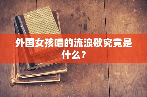 外国女孩唱的流浪歌究竟是什么？