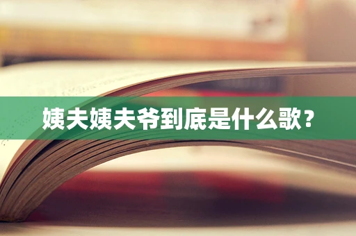 姨夫姨夫爷到底是什么歌？
